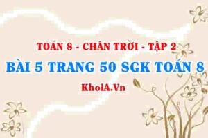 Bài 5 trang 50 Toán 8 Chân trời sáng tạo Tập 2